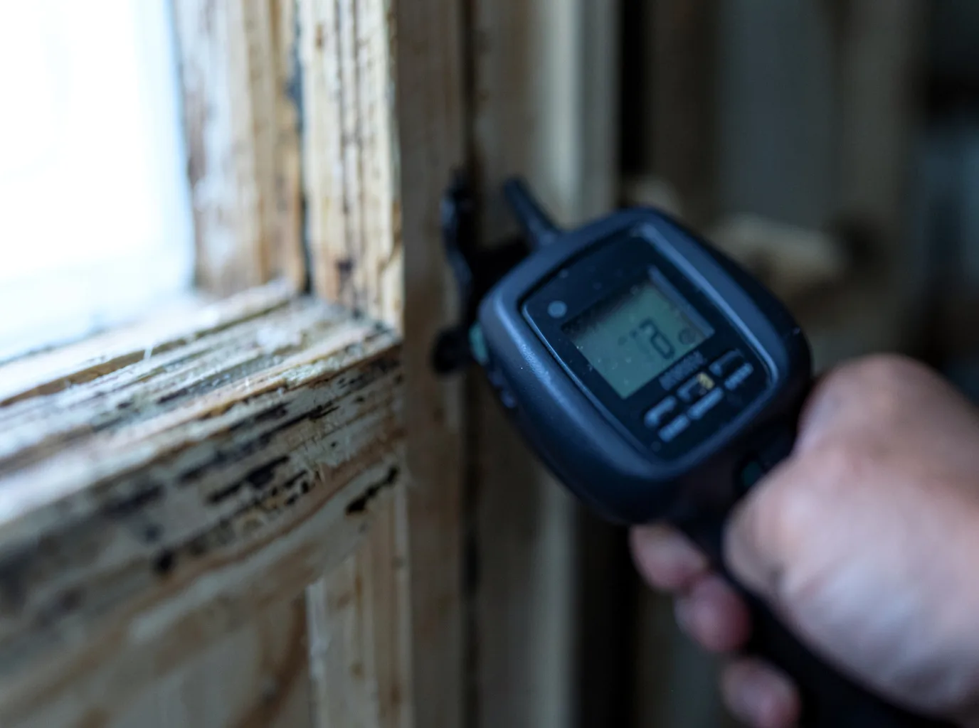 Commercial Water Damage Restoration in Niwot, CO